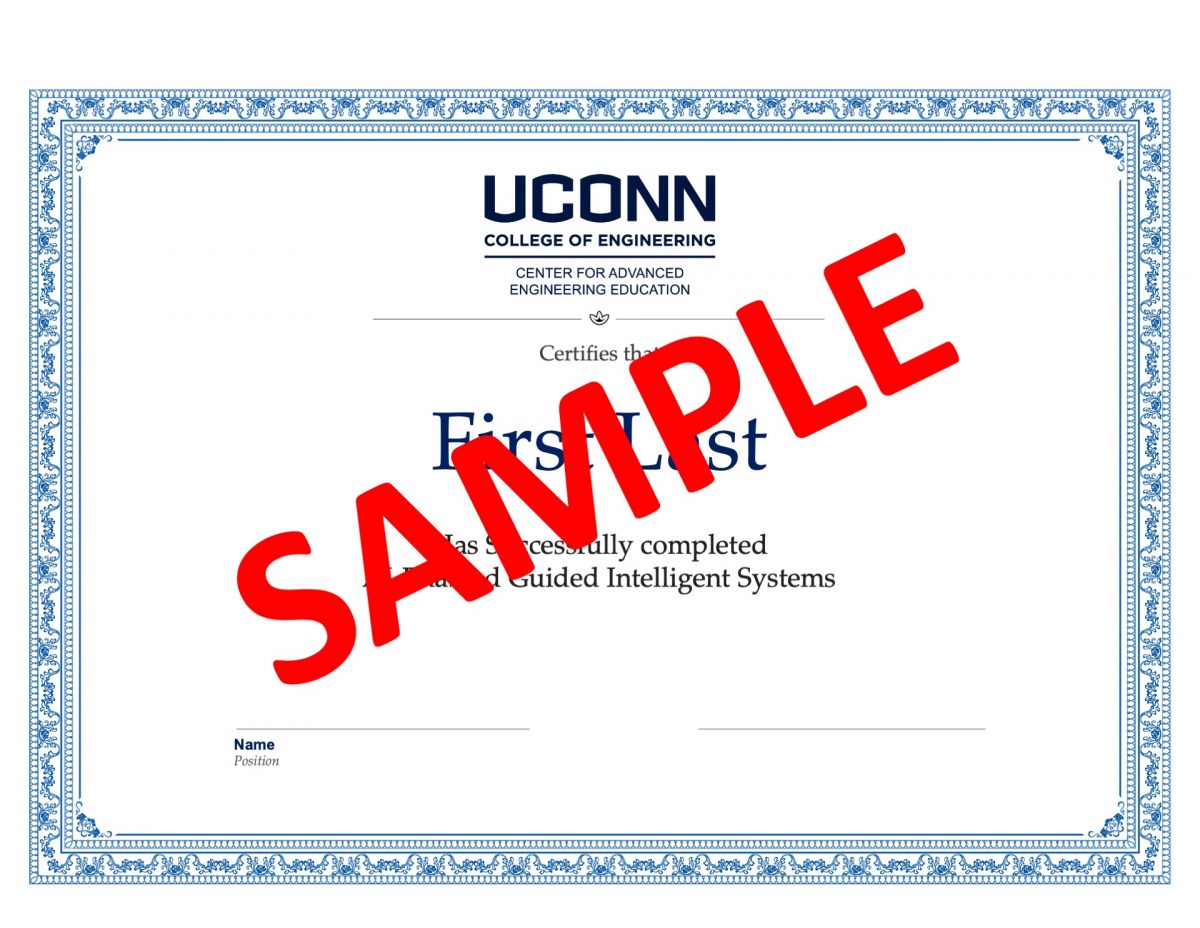 CAEE AI Cert - sample